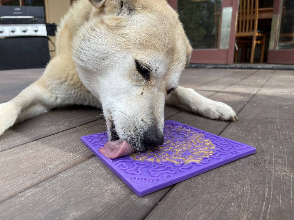 Bones eMat – Enrichment Lick Mat for Dogs and Cats | SodaPup