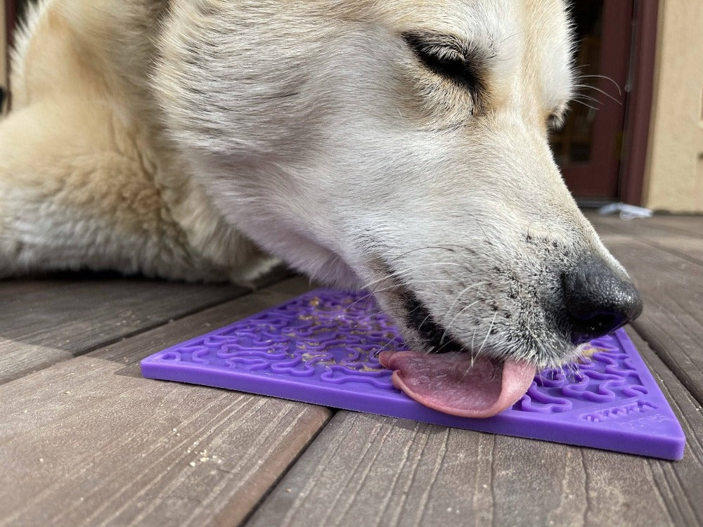 Bones eMat – Enrichment Lick Mat for Dogs and Cats | SodaPup